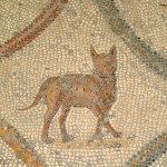 Cats in the ancient world